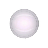 Светильник настенный светодиодный Citilux CL918081