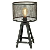 Настольная лампа декоративная Lussole LOFT LSP-9886