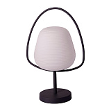 Настольная лампа декоративная Moderli V2883-1T