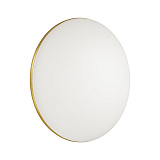 Светильник настенно-потолочный светодиодный Sonex 3043/AL